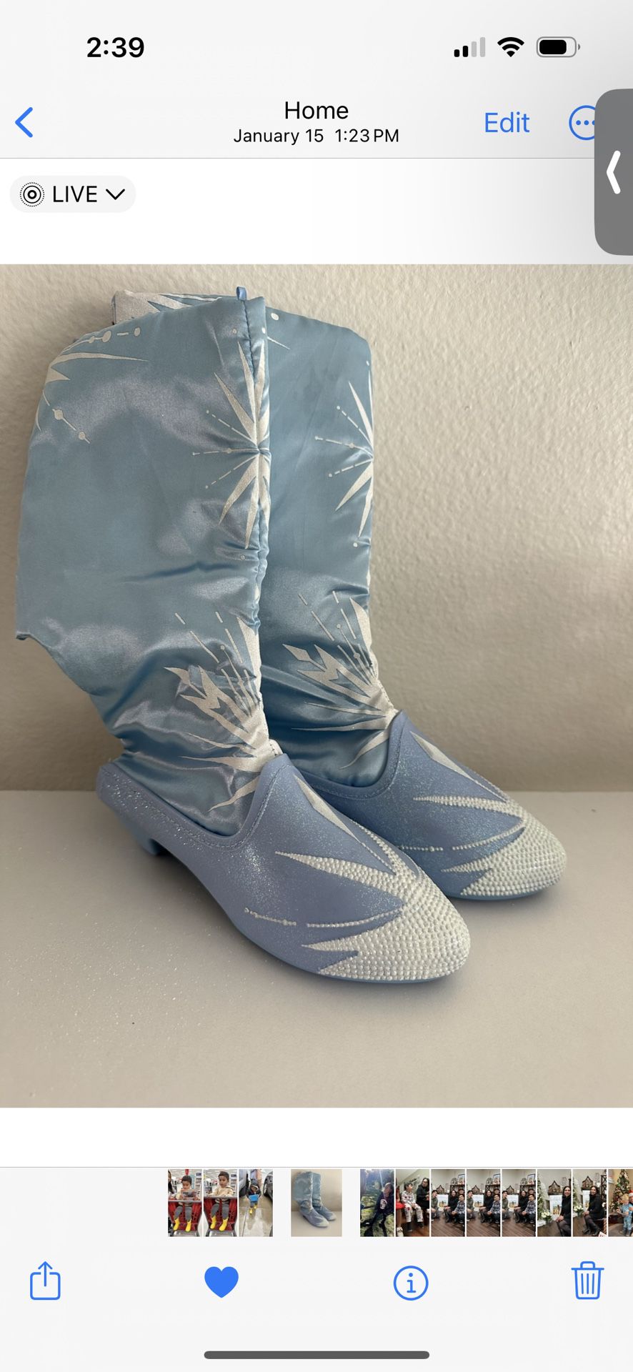 Elsa Dress Up boots 