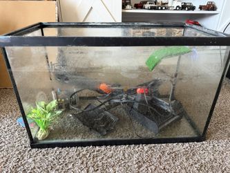 10 Gallon Fish Tank