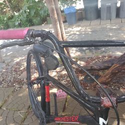 29er