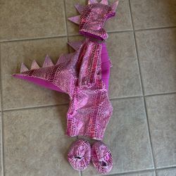 Baby Girl Dino Costume