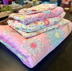 (2) Pottery Barn Kids Twin Bedding Set