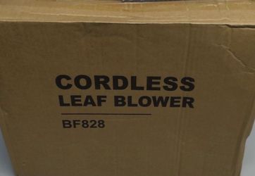 Leaf blower