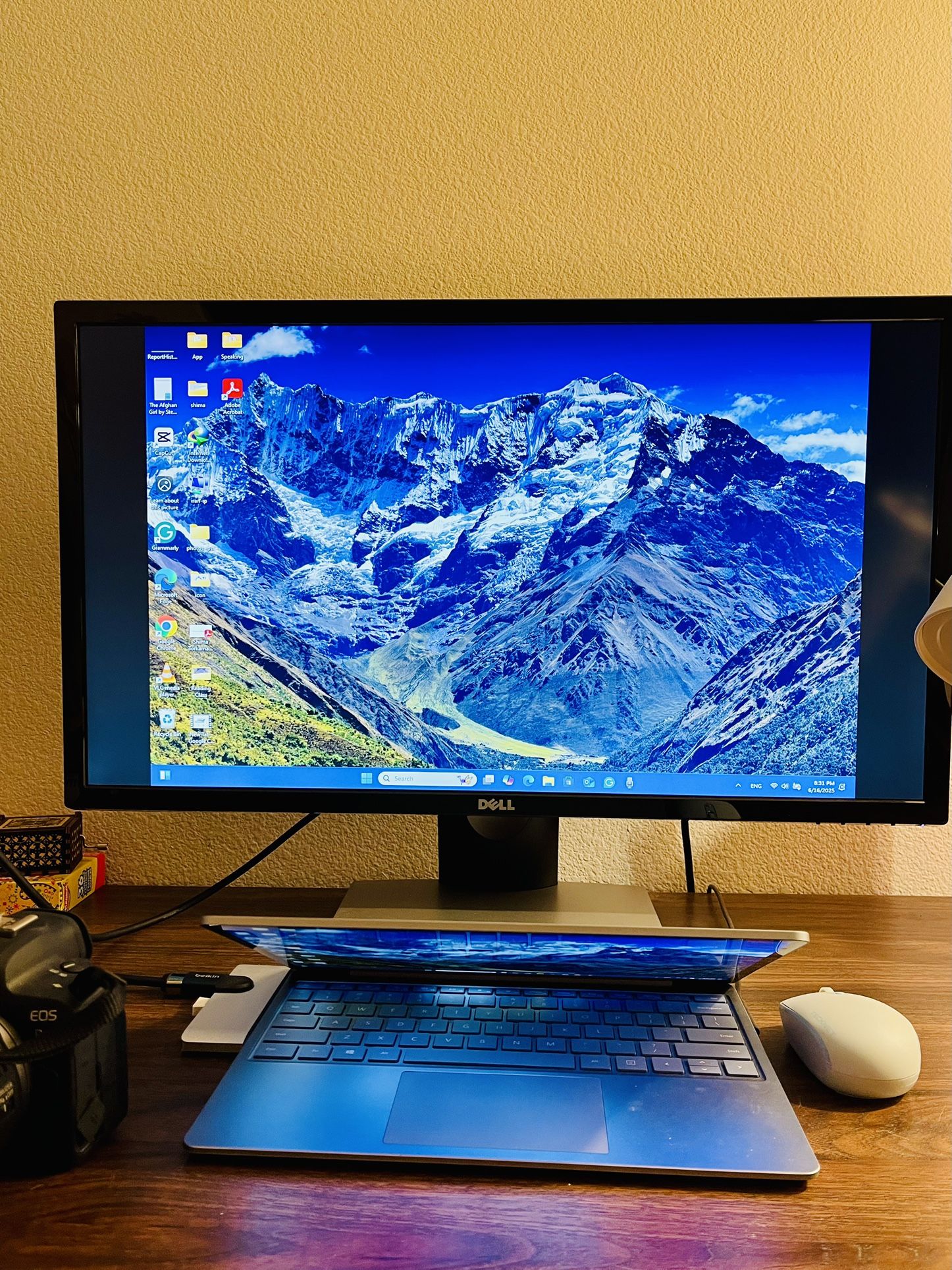Dell LED-LIT Monitor