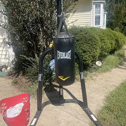 Punching Bag, Stand And Gloves 