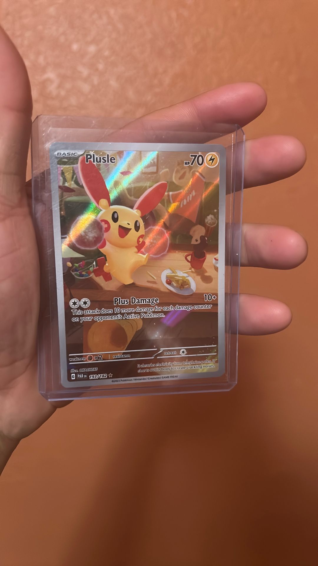 Plusle 193/182 PAR