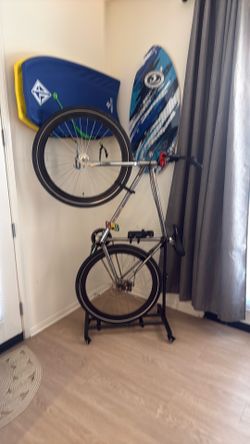 BMX Cruiser