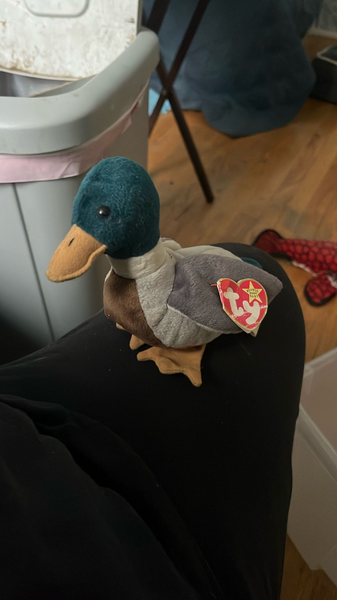 1998 beanie babie Jake
