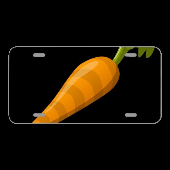 License Plate Novelty Car Front Carrot Vegetable Food Fresh Healthy