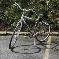 Novara Corsa Hybrid Comfort Bike Size 700c