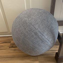 Exercise Ball And Cover 