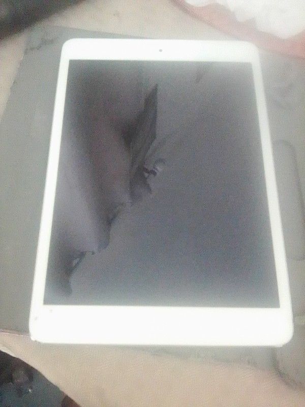 Apple π I Pad