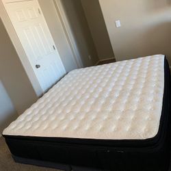 KING STEARNS AND FOSTER MATTRESS AND FREE BOX SPRINGS 