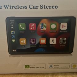 Portable wireless car stereo