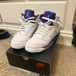 Jordan Grape 5s