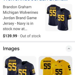 Brandon Graham College Jersey Nike