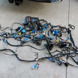 Wire Harness 2004 Trailblazer