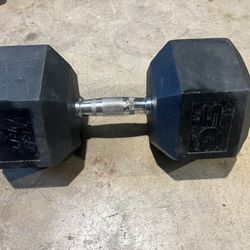 95lb Dumbbell