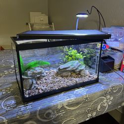 5 Gallon Aquarium / Fish Tank Startup Kit with Light Gravel and Decor LED Light