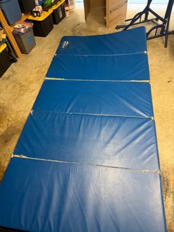 AAI Gym Mat Pad Jujitsu Gymnastics Used $70
