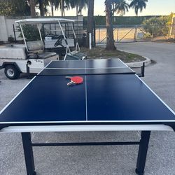 Ping Pong Table