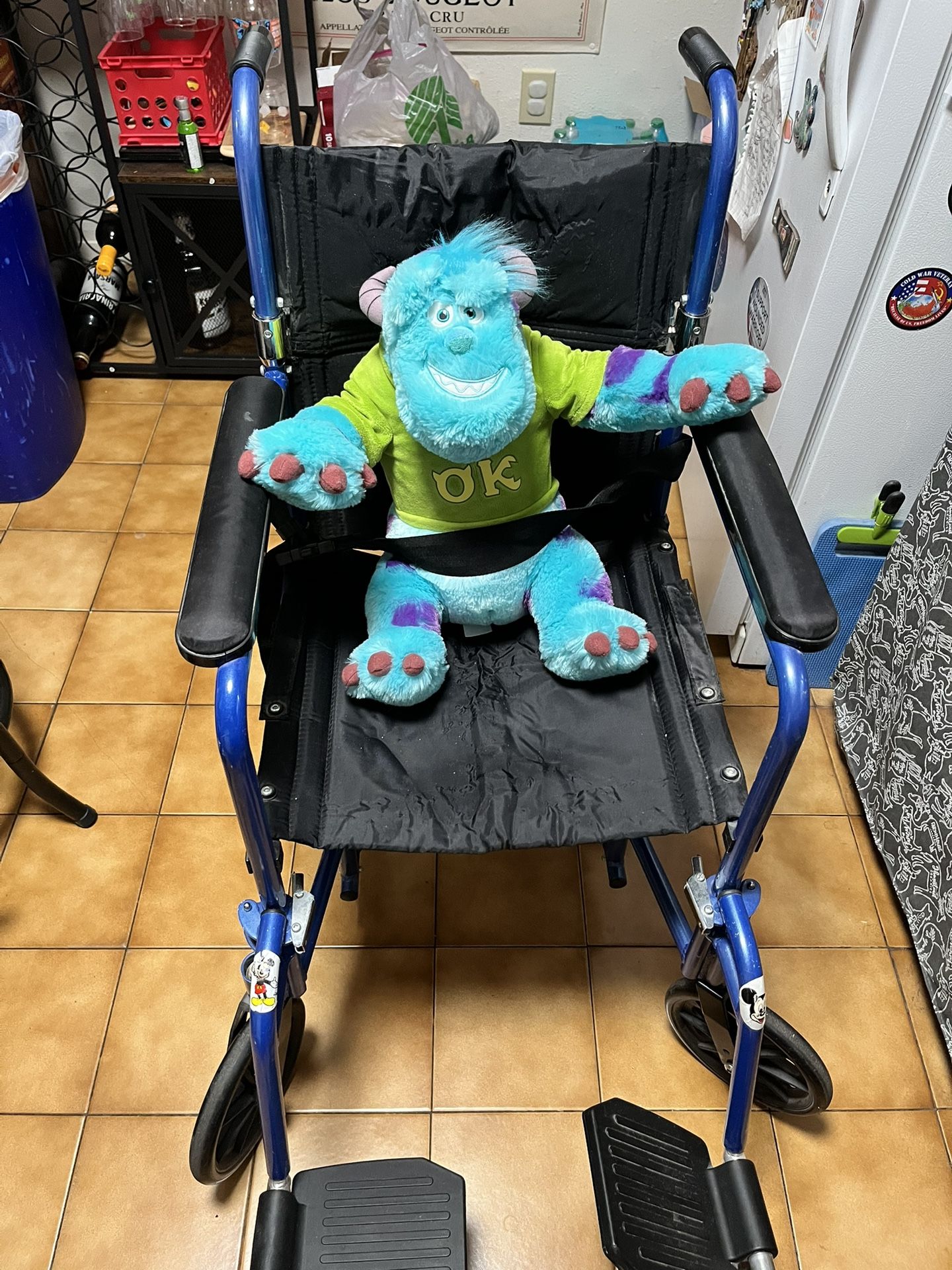 Transport Wheelchair