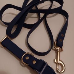 
***NEW*** SportPet Solid Blue Matching Dog Leash & Collar Set