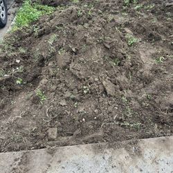 free dirt