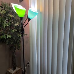 Lamp And Plant