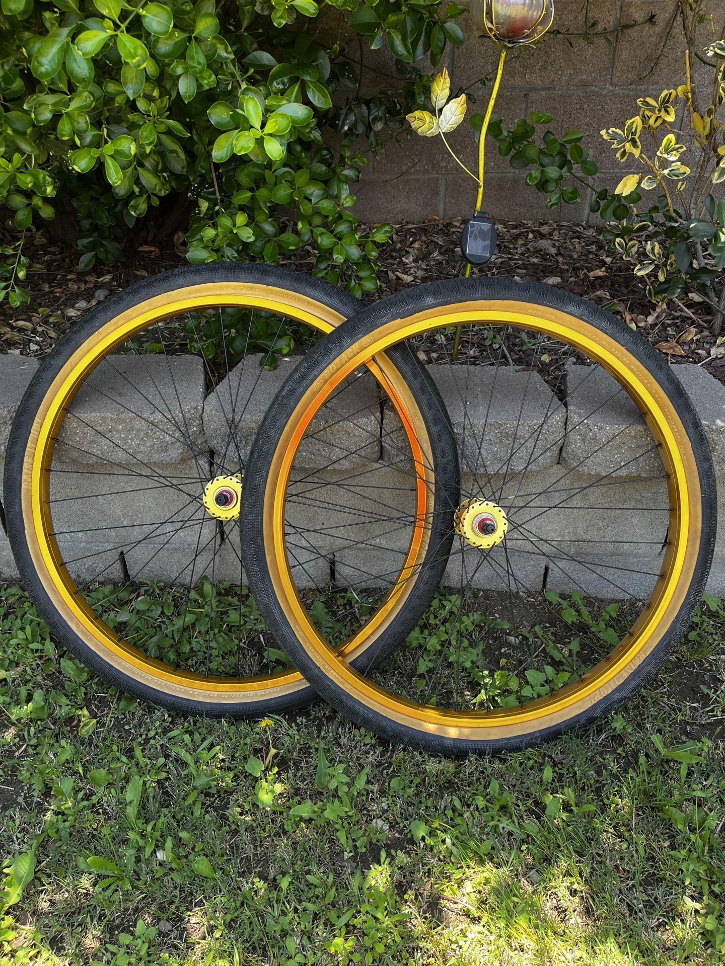 SE Bike Classic Black Gold 29”Rims