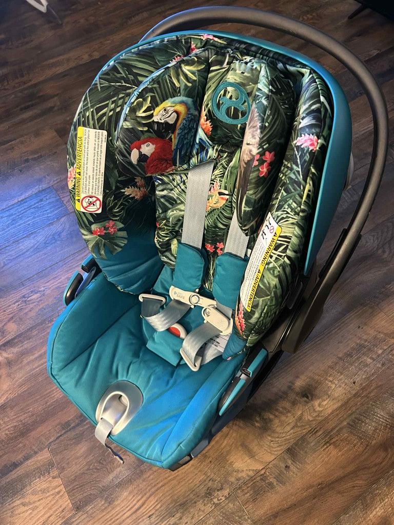 Newborn Carseat $150