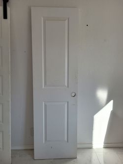 Door 24 x 80