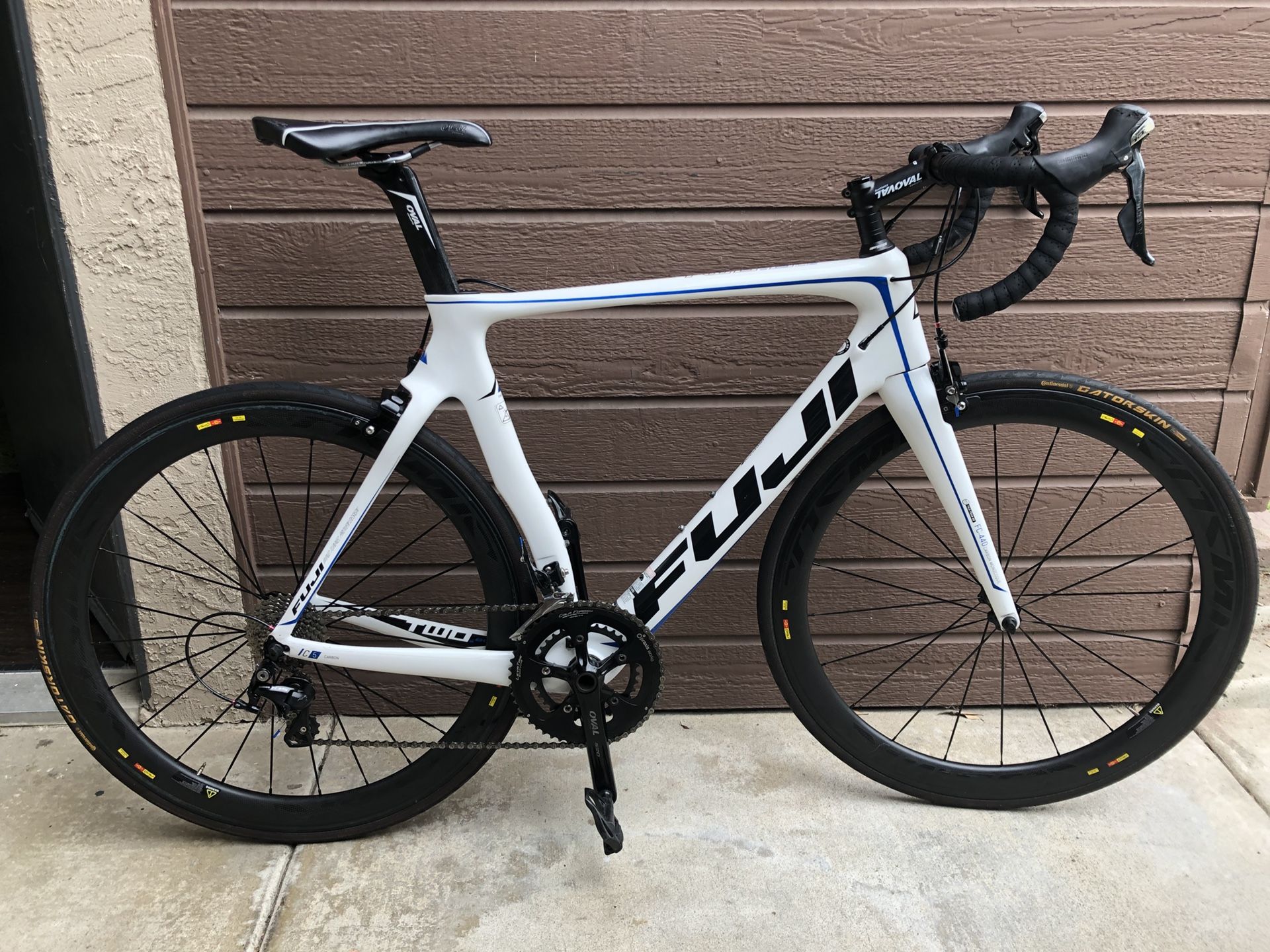Fuji top transonic 2015