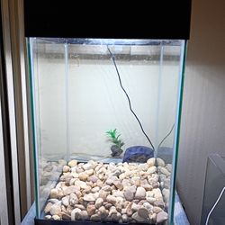 Fish Tank 