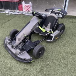 Segway Pro Go Kart