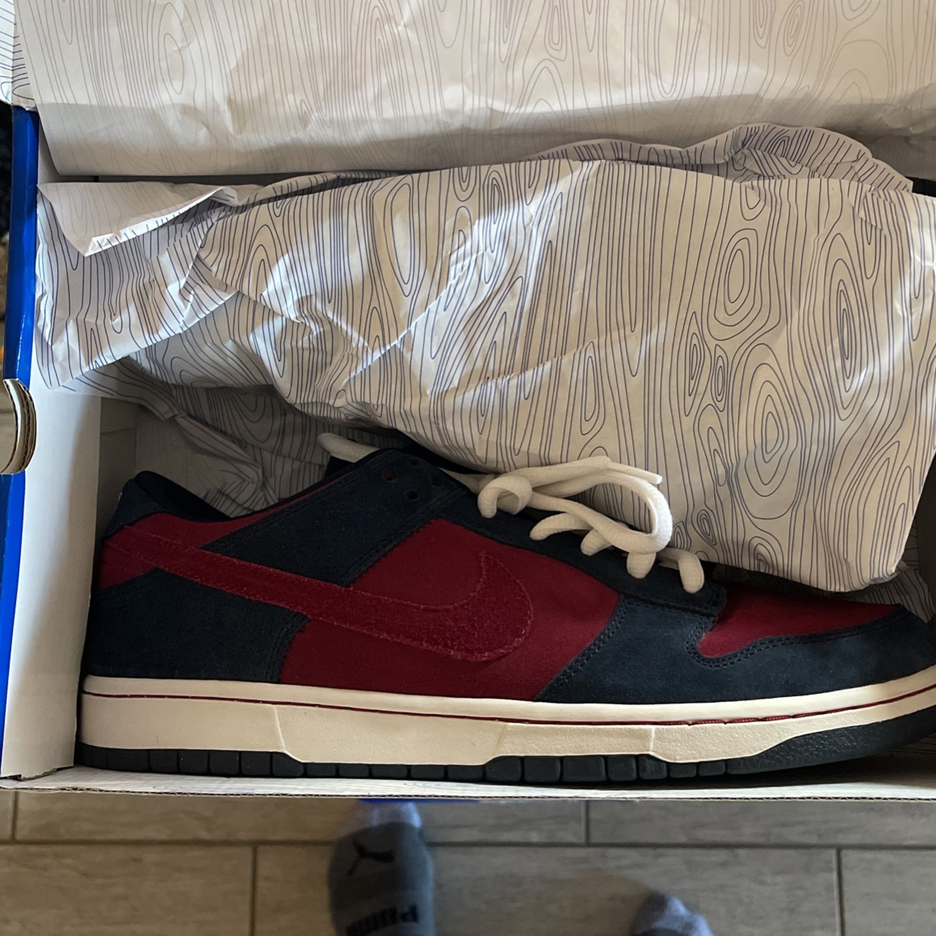 Nike Dunk Sb Obsidian Team Red