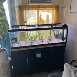 60 Long With Fluval FX6 