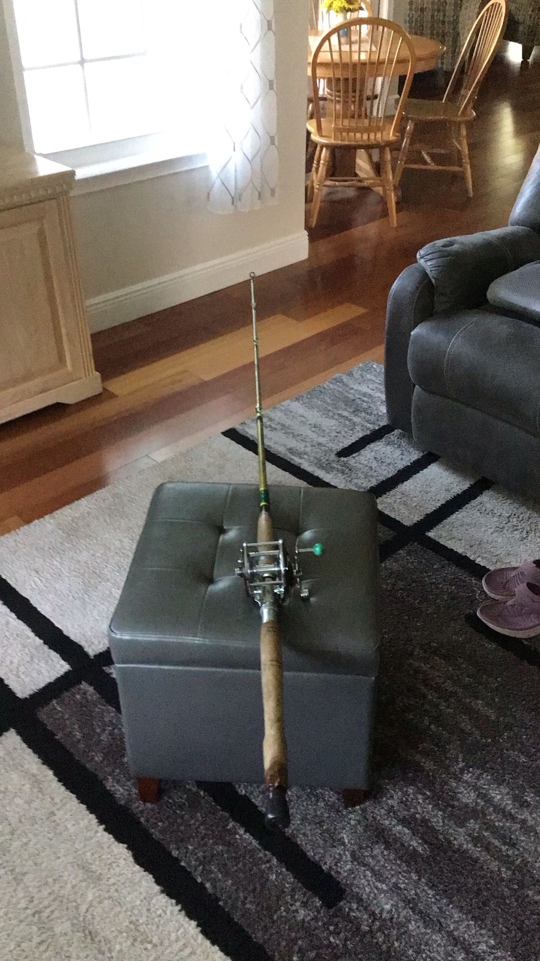 6 ft. 6inchMontague Rod, and Penn 309 Leveline Reel