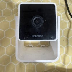 petcube camera 