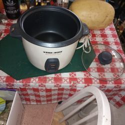Rice And Veggies Cooker $10