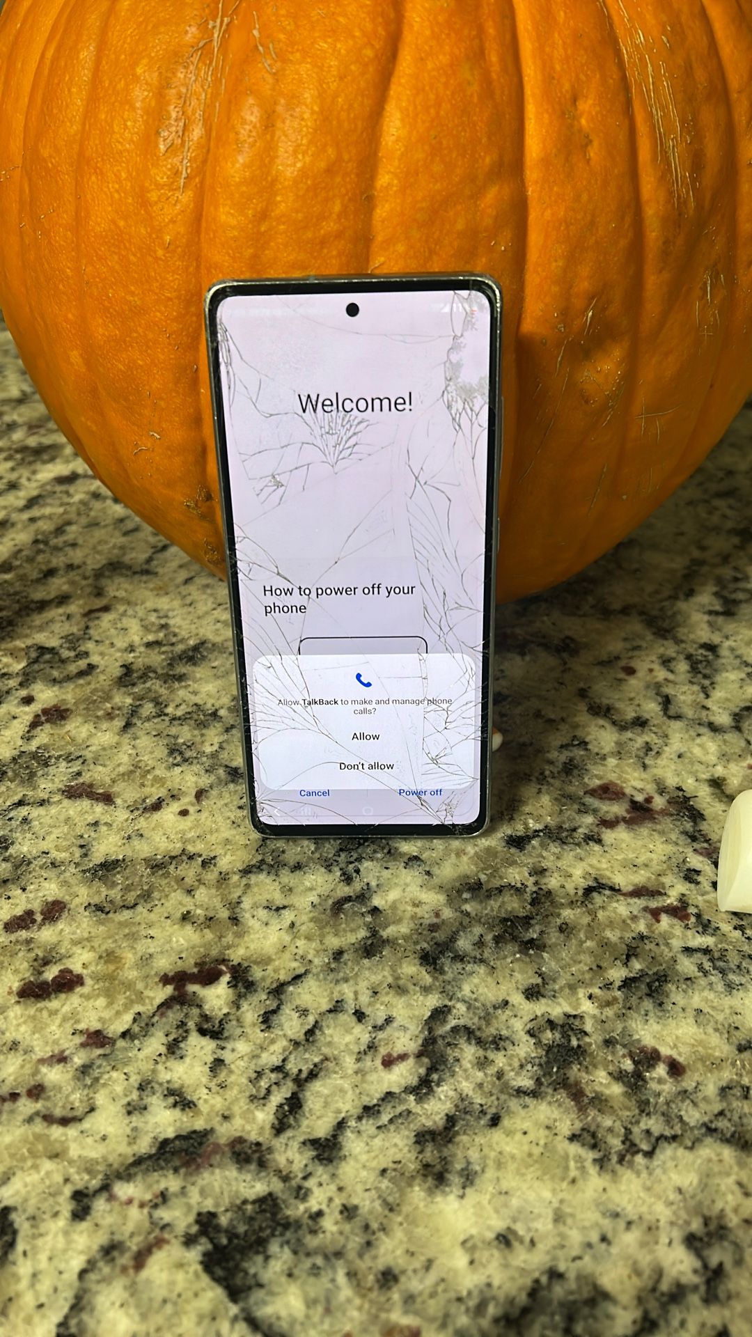 Samsung Galaxy S20 FE 5G.