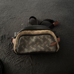 Coach Belt Bag