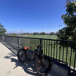 Fast Freesky Ebike 