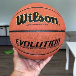 Wilson Evolution Indoor Game Ball