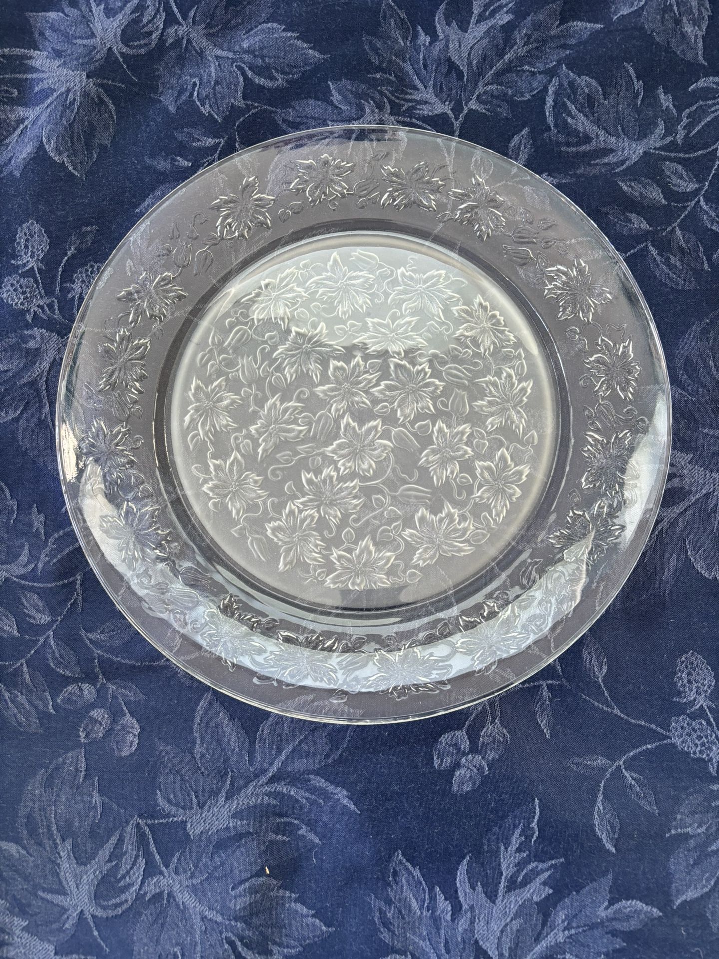 Vintage Princess House Dinner Plates