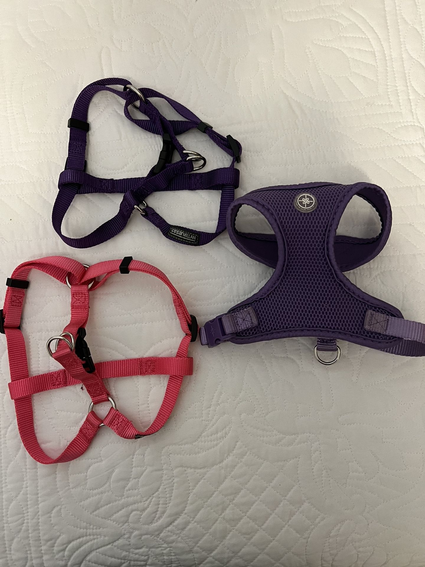 Small Dog Harness (3) for $10
