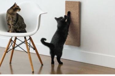 Mau Canvas scratching Board for cats Brand New in a box