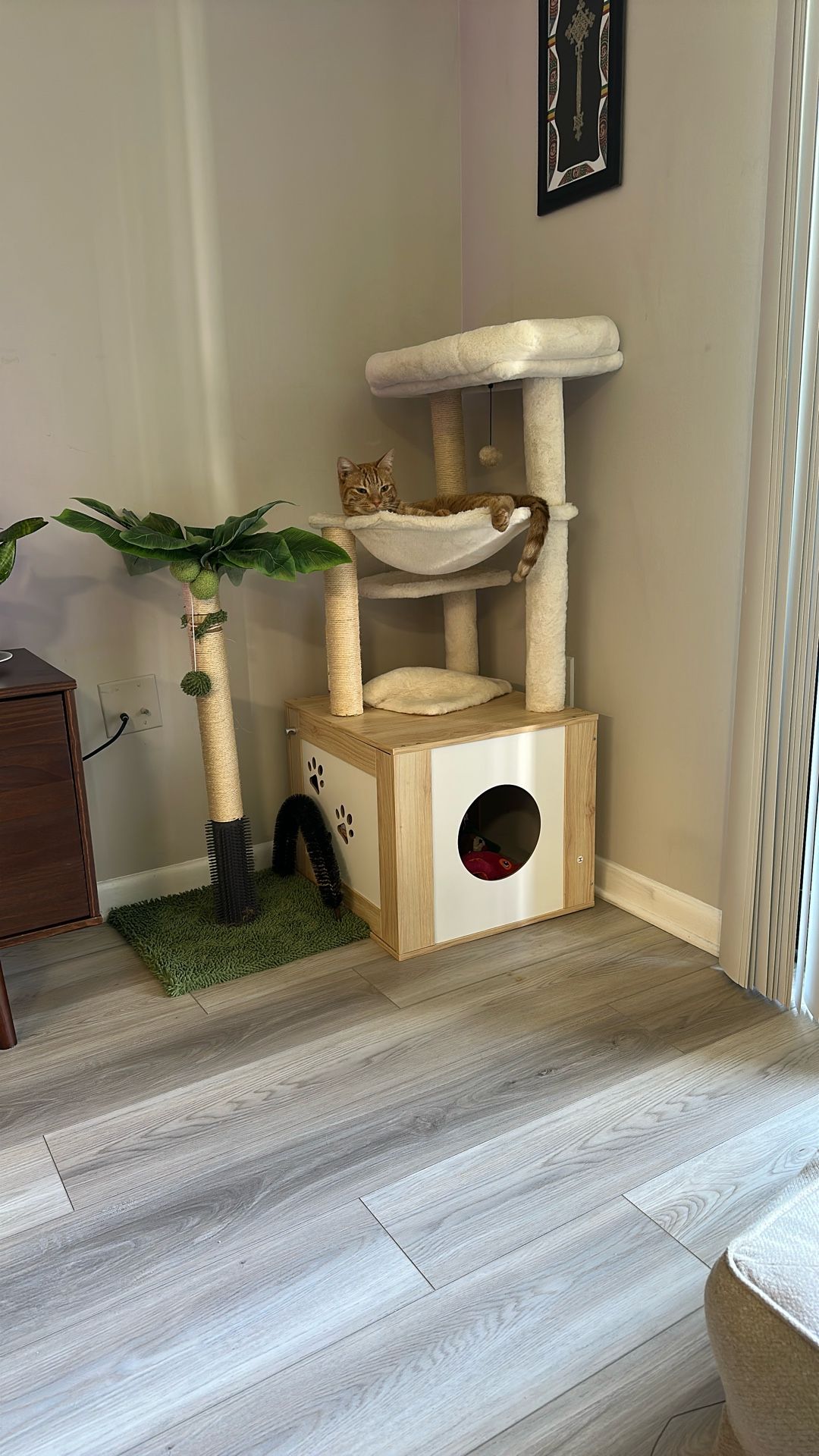 Cat Trees With Storage / Both