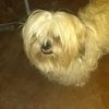 Oliver