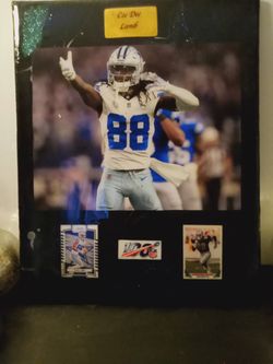 Cee Dee Lamb 20x By 16x One Of A Kind Wall Plaque