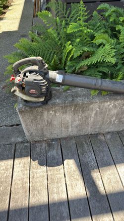 Gas yard blower
